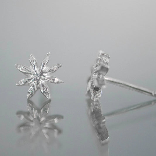 Anise Studs