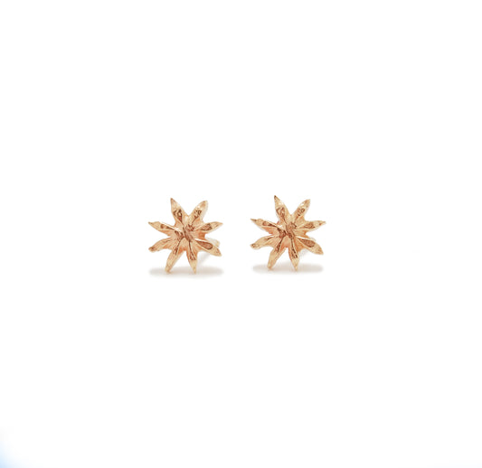 Anise Studs