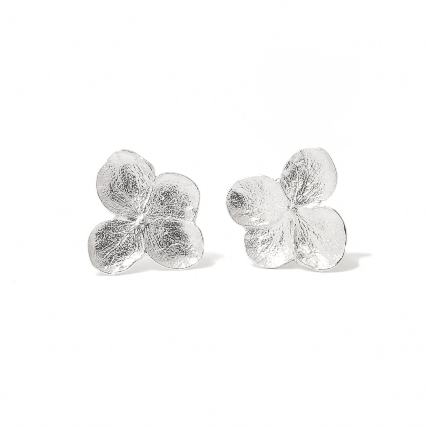 Hydrangea Studs