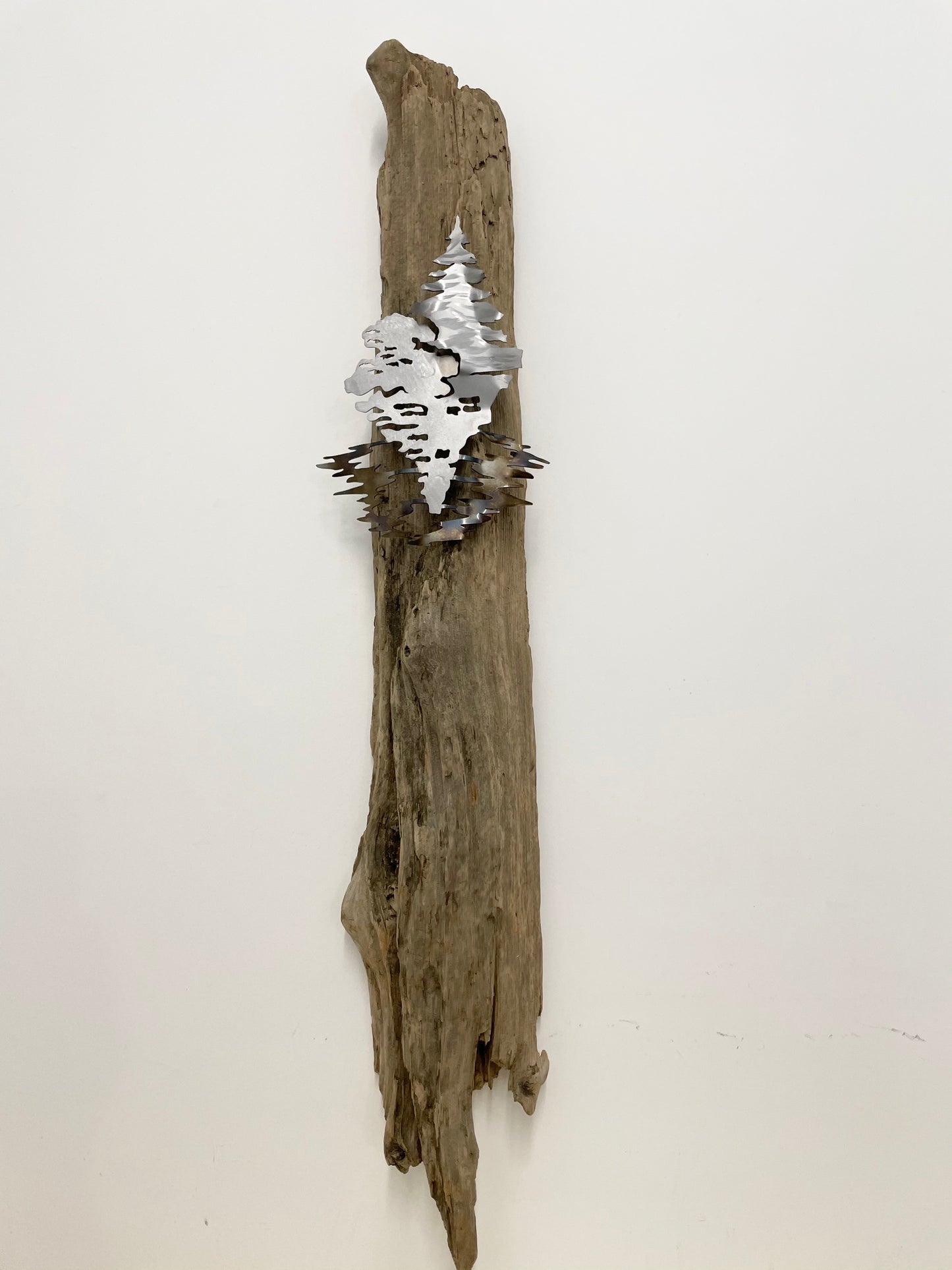 D’Zign Tooth of Time