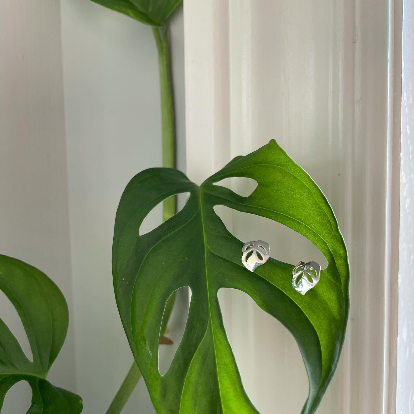 Monstera Stud Earrings