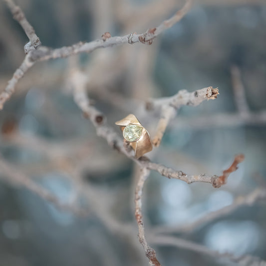 Escarpment 2.95ct Sapphire