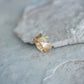 Escarpment 2.95ct Sapphire